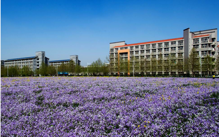 河北科技大学可以专接本吗
