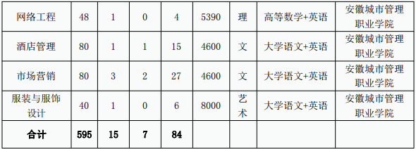 合肥师范学院专升本招生计划