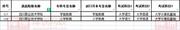 2022四川职业技术学院对口宜宾学院专升本专业