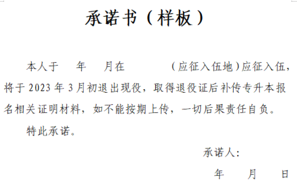 本人签字确认的承诺书