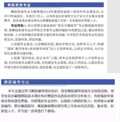 云南艺术学院文华学院2023年专升本招生计划