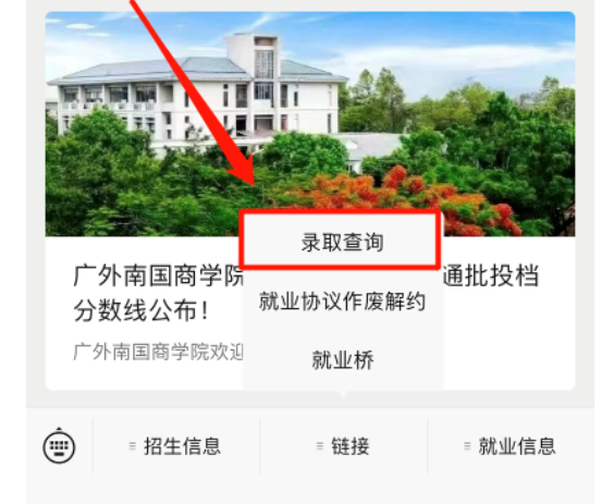 2023年广外南国商学院普通专升本录取结果查询