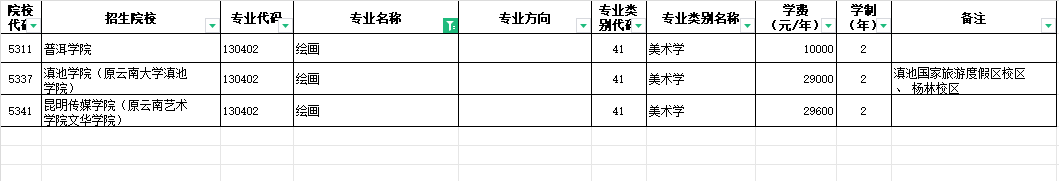 2024年云南绘画专升本招生院校