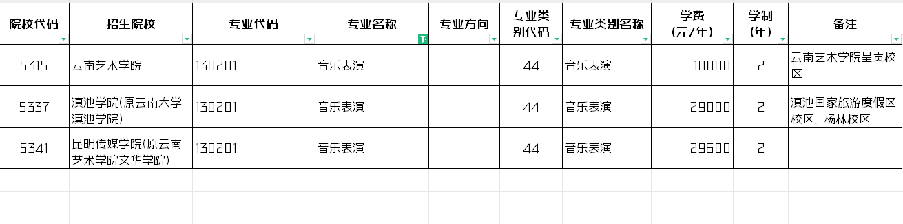 2024年云南音乐表演专升本招生院校