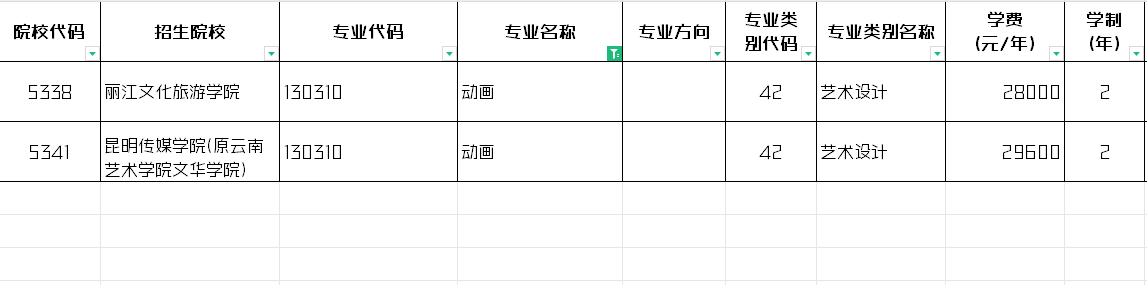 2024年云南动画专升本招生院校