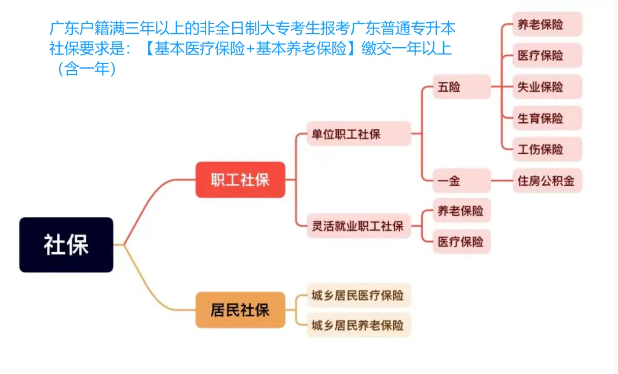 广东户籍非全日制大专生专升本社保要求详解