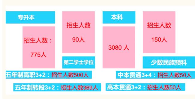 2024年玉溪师范学院专升本招生775人